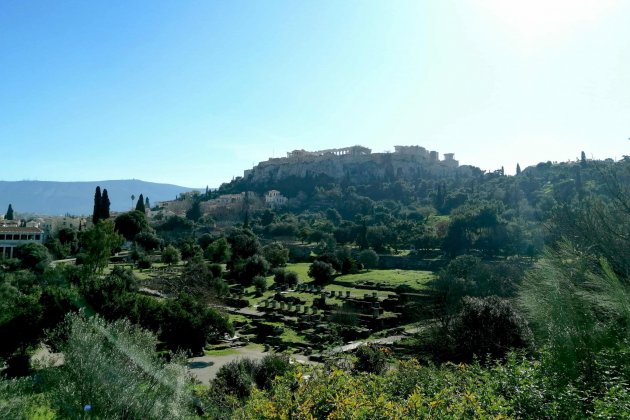 Hephaistos-Tempel, Archäologie, antike Pflanzen